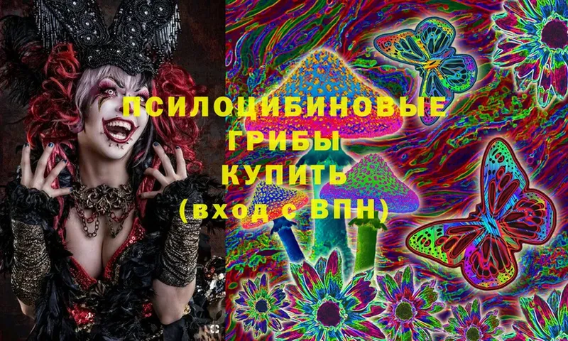 Галлюциногенные грибы Psilocybine cubensis  Куровское 